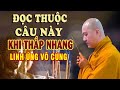 AI CŨNG NÊN ĐỌC CÂU NÀY Khi Thắp Nhang Cầu Gì Được Nấy - Linh Ứng Vô Cùng - Thầy Thích Pháp Hòa