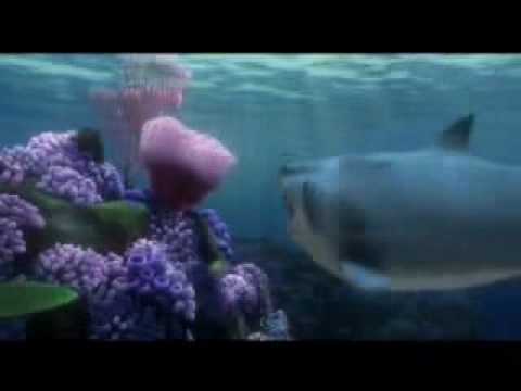 Shark Tickle Youtube