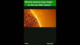 Ghostly plasma loops linger on the sun after massive solar explosion (photos)|Shorts