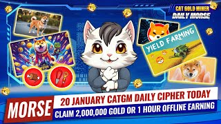 20 January CATGM Daily Cipher Today⚡️CAT GOLD MINER OFFICIAL