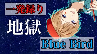 【一発録り】いきものがかり「Blue Bird」【歌ってみた】