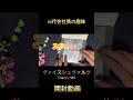 【話題のディズニーカード】話題のヴァイス ディズニー100周年カード　開封動画　【ヴァイスシュヴァルツ】 ディズニー