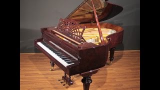 Bechstein Model A Classic Grand Player Piano QRS Vavona