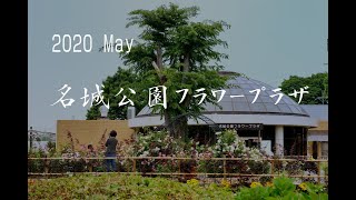 2022 名城公園フラワープラザ