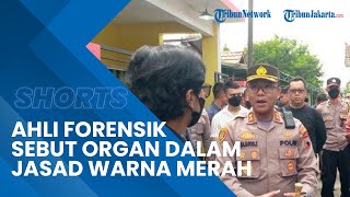 Ahli Forensik Ungkap Hasil Autopsi Jasad Keluarga di Magelang, Sebut Organ Memerah Seperti Terbakar