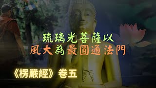 【楞嚴經】琉璃光菩薩觀界安立、觀世動時、觀身動止、觀心動念，然後身心發光，洞徹無礙｜楞嚴經｜宣化上人｜佛子