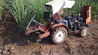 उसाची मोठी बांधणी earthing up in sugarcane for 100 tonns yeild