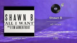 Shawn B - All I Want |[ RnB ]| 2023