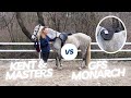 Looking for a JUMP SADDLE for a CONNEMARA! (Kent & Masters vs. GFS Monarch)