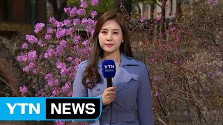 [날씨] 주말, 올해 들어 가장 따뜻...밤엔 중부 비 / YTN