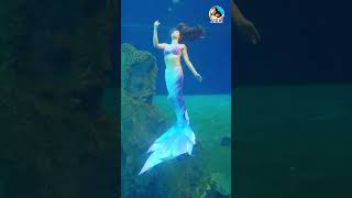 花蓮遠雄海洋公園 美人魚 真人實境秀 mermaid #shorts