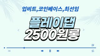 (최선임)  플레이댑 코인 2500원 간다! 코인베이스 상장!