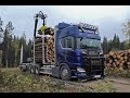 Scania R650 6X4 Timber Truck Loading (4K)