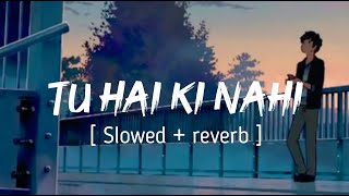 TU HAI KI NAHI ( Slowed + reverb ) - Roy || Ankit Tiwari || EARGASM