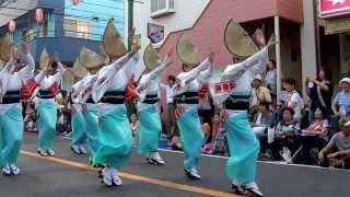 2013.8.3 東林間 阿波おどり＜伍楽連＞