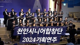 2024기획연주 천안시니어합창단 [희망나무] \