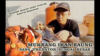 MUKBANG IKAN BAUNG, SANG PREDATOR SUNGAI BESAR BENDUNGAN SADAWARNA, SENSASI MUKBANG SANG PREDATOR