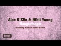 Alex D'Elia & Nihil Young - Moogerfooger (Original Mix)