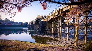 JAPAN's Most Beautiful BRIDGE - Sakura Walk at Kintaikyo, Iwakuni