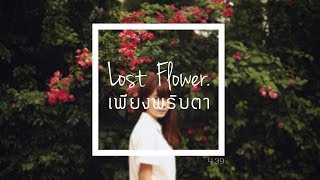 Lost Flower - เพียงพริบตา [ Official Audio ]