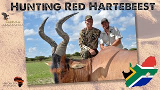 Hunting Red Hartebeest in South Africa - One of the most iconic and underrated species in Africa