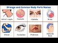 Lesson 127:  84 Strange and Common Names of Body Parts |  All body parts vocabulary with pictures