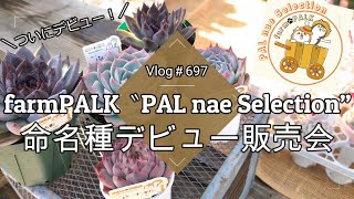 【Vlog697】【多肉植物】ついにデビュー！farmPALK“パル苗セレクション”命名種デビュー販売会【四国造園】