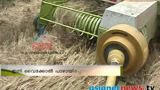 Hay Harvesting. Vartha Prabhatham 8th April 2014 കൗതുകമായി വയ്ക്കോല്‍ കൊയ്ത്ത് യന്ത്രം