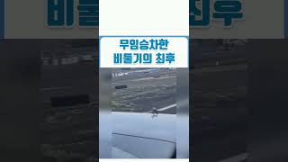 무임승차 #쇼츠 #비둘기