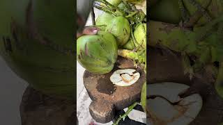 So satisfying! Fresh coconut cutting skill #shorts #explore #coconut  #asmr #viralvideo