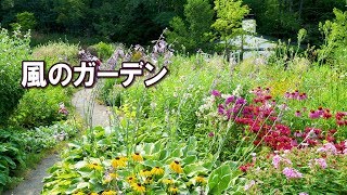 HOKKAIDO. Kane-no-Garden with local wild flowers- created by Ms.Sayuki Ueno. #4K #風のガーデン #Furano