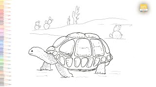 Desert Tortoise drawing | How to draw Desert Tortoise step by step | Tortoise drawing tutorials