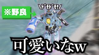 健気についてくる可愛い野良パス【APEX】