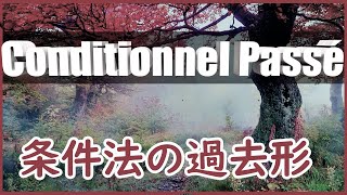 Le Conditionnel Passé 条件法の過去形