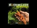 morning sun & the essentials - the essentials