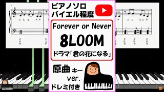 【耳コピ】Forever or Never 8LOOM TBS系火曜ドラマ『君の花になる』原曲キーver.