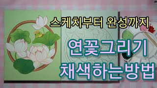 연꽃그리기 스케치부터 완성까지 /채색방법 /lotus flower