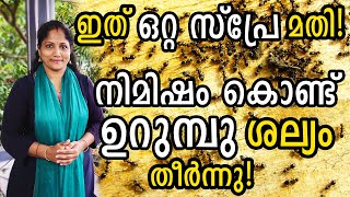 ഇത് ഒറ്റ സ്പ്രേ മതി! നിമിഷം കൊണ്ട് ഉറുമ്പു ശല്യം തീർന്നു ! ‌ How to Get rid of Ants Quickly