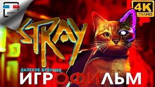 STRAY Игрофильм КИБЕР КОТ 4K60FPS Сюжет Фантастика