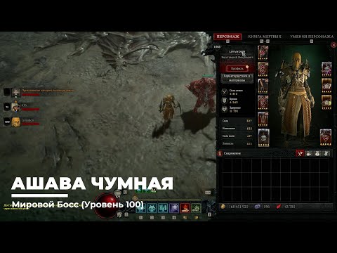 Diablo 4 Некромант Суммонер Мировой Босс Ашава Чумная (Уровень 100)