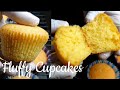 Vanilla Cupcakes