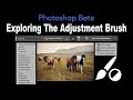 Exploring The Adjustment Brush In PHOTOSHOP Beta