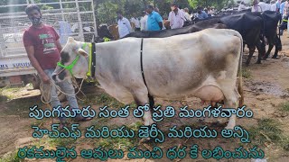 పుంగనూరు సంత అతిపెద్దది హెచ్ఎఫ్, జెర్సీ మరియు అన్ని రకాల ఆవులు ఈ సంత లో లభించును My Ph: 9014820720