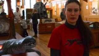 Redpath Museum Plesiosaur- Crowdfunding video