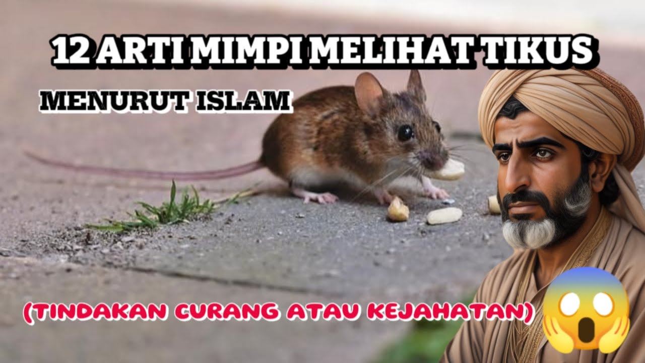 12 Arti Mimpi Melihat TIKUS | Arti Mimpi Menurut ISLAM. #artimimpi # ...