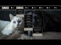 How to Create a Multi-Level Dropdown Menu in HTML & CSS | Font Awesome Icons