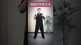 站桩的呼吸方法，正确的太极拳站基本功方法 #太极拳  #养生