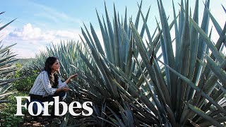 How Melly Barajas Built One Of Mexico's First Female-Owned Tequila Companies