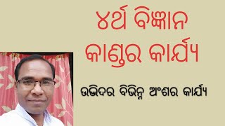 BnMedia#୪ର୍ଥ ବିଜ୍ଞାନ#କାଣ୍ଡର କାର୍ଯ୍ୟ