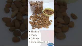 Gurbandi almonds order Now